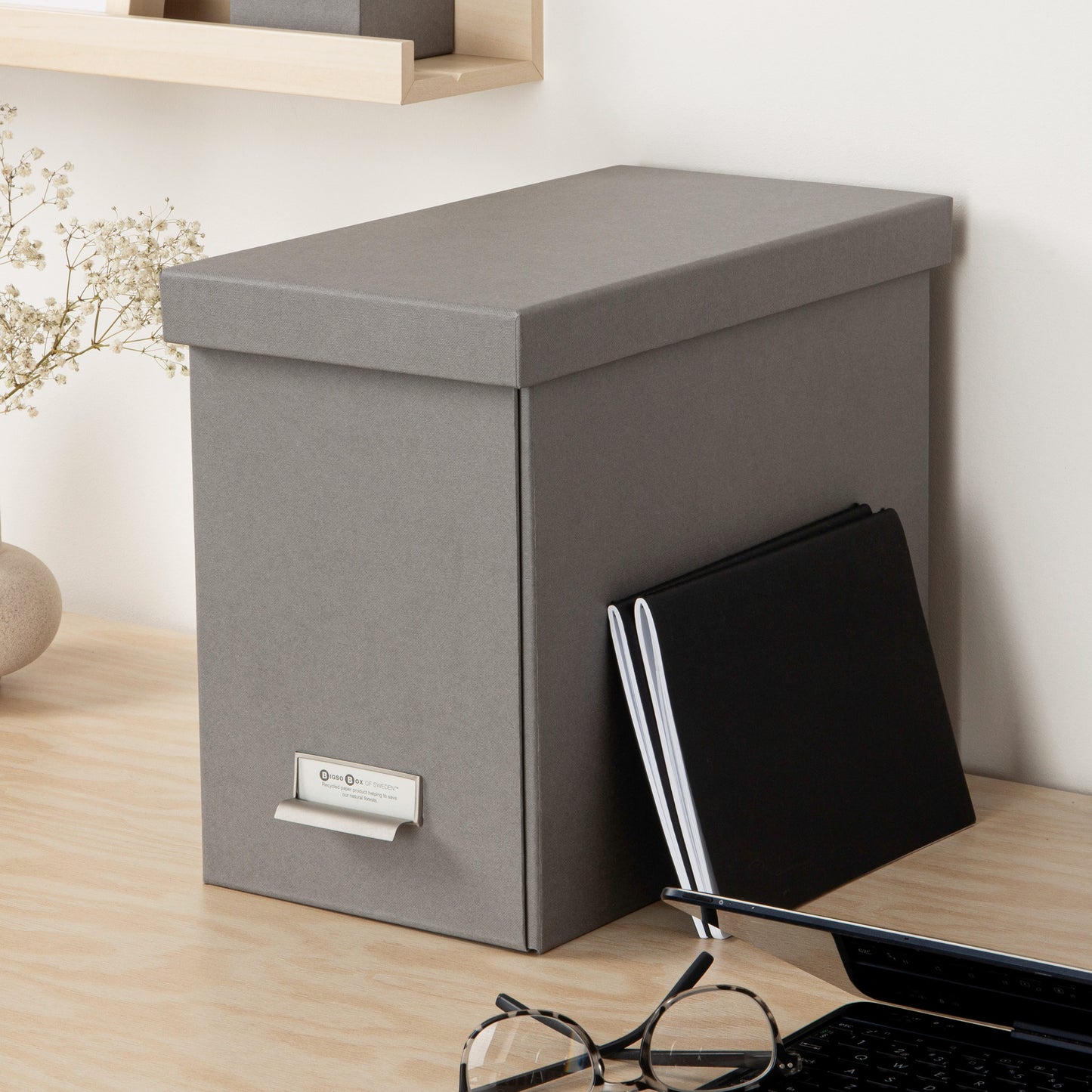 Suspension File Storage Box